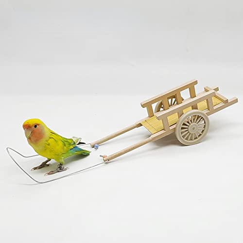 YANQIN Parrot Toy Bird Intelligence Skill Training Slide Toy Parrot Educational Toys for Conures Parakeets Cockatiels