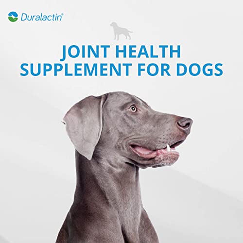 PRN Duralactin Canine Soft Chews - Joint Health Supplement for Dogs and Puppies - Chicken-Liver Flavored Canine Chews Containing Dried Milk Protein - 60-Count Bottle