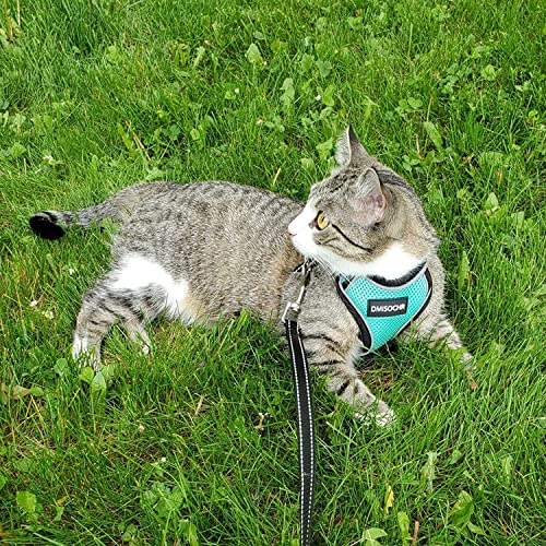Cat Harness and Leash Set for Walking Escape Proof - Reflective Adjustable Cat Vest Harness for Small to Large Cat Puppy - Cute Mesh Breathable Soft Cat Full Body Harness