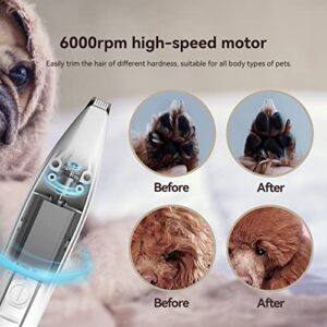 PAWBBY Dog Paw Trimmer, Dog Clippers, Cordless Cat and Small Dogs Clipper, Low Noise Electric Mini Pet Grooming Clippers for Trimming The Hair Around Face, Paw Pads, Eyes, Ears, Rump