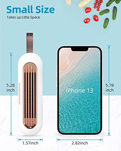 SEANCHEER Fridge Deodorizer, Mini USB-C Rechargeable Reusable Refrigerator Deodorizer, Refrigerator Odor Eliminator with Hook Lanyard for Fridge Wardrobe Shoes Cabinet