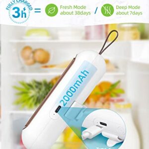 SEANCHEER Fridge Deodorizer, Mini USB-C Rechargeable Reusable Refrigerator Deodorizer, Refrigerator Odor Eliminator with Hook Lanyard for Fridge Wardrobe Shoes Cabinet