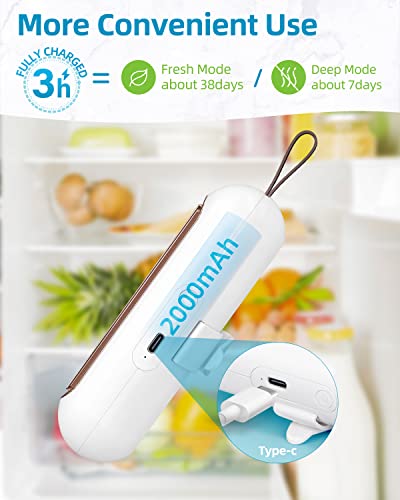 SEANCHEER Fridge Deodorizer, Mini USB-C Rechargeable Reusable Refrigerator Deodorizer, Refrigerator Odor Eliminator with Hook Lanyard for Fridge Wardrobe Shoes Cabinet