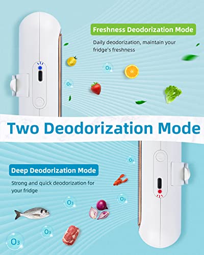 SEANCHEER Fridge Deodorizer, Mini USB-C Rechargeable Reusable Refrigerator Deodorizer, Refrigerator Odor Eliminator with Hook Lanyard for Fridge Wardrobe Shoes Cabinet