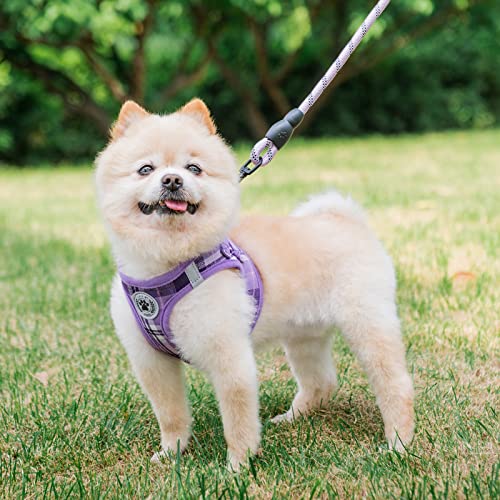 BEAUTYZOO Small Dog Harness and Leash Set,Step in No Chock No Pull Soft Mesh Dog Harnesses Reflective for Extra-Small/Small Medium Puppy Dogs and Cats, Plaid Dog Vest Harness for XS S Pets, Purple S