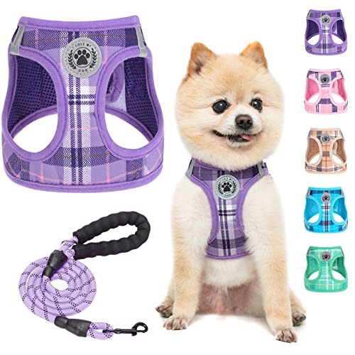 BEAUTYZOO Small Dog Harness and Leash Set,Step in No Chock No Pull Soft Mesh Dog Harnesses Reflective for Extra-Small/Small Medium Puppy Dogs and Cats, Plaid Dog Vest Harness for XS S Pets, Purple S