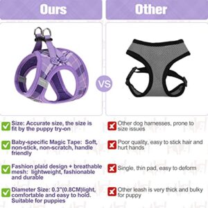 BEAUTYZOO Small Dog Harness and Leash Set,Step in No Chock No Pull Soft Mesh Dog Harnesses Reflective for Extra-Small/Small Medium Puppy Dogs and Cats, Plaid Dog Vest Harness for XS S Pets, Purple S