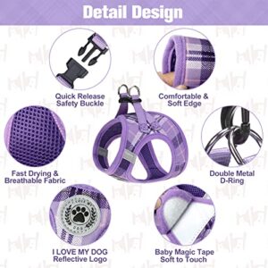 BEAUTYZOO Small Dog Harness and Leash Set,Step in No Chock No Pull Soft Mesh Dog Harnesses Reflective for Extra-Small/Small Medium Puppy Dogs and Cats, Plaid Dog Vest Harness for XS S Pets, Purple S