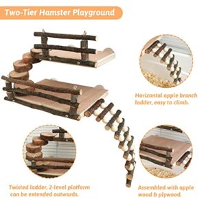 Fhiny Hamster Climbing Toys, 2 Layer Wooden Activity Platform with Bridge Hanging Playground Cage Accessories Hamster Wood Chewing Toys for Dwarf Hamsters Gerbils Small Pets