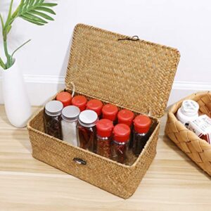 DECHOUS Storage Bins with Lids, Wicker Baskets with Lid Seaweed Woven Basket Straw Basket with Lids Desktop Storage Box Containers Storage Basket Size M