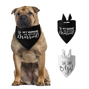 Bnibol 2 Pack Dog Bandana for Wedding Engagement,Triangle pet Scarf for Lovers,Suitable for Medium Large boy Girl Dog My Humans are Getting Married and say yes. (Wedding)