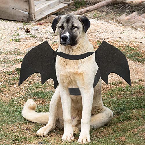 Dog Bat Costume, Halloween Pet Costume Bat Wings Cosplay Medium Dog Dress Up Accessories for Party