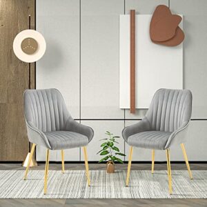 Dolonm Modern Living Dining Room Accent Chair Velvet Mid-Century Upholstered Side Chair with Gold Metal Legs Leisure Club Armchair (Grey)