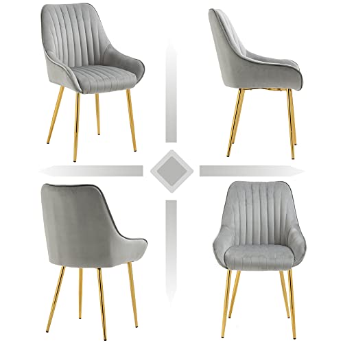 Dolonm Modern Living Dining Room Accent Chair Velvet Mid-Century Upholstered Side Chair with Gold Metal Legs Leisure Club Armchair (Grey)