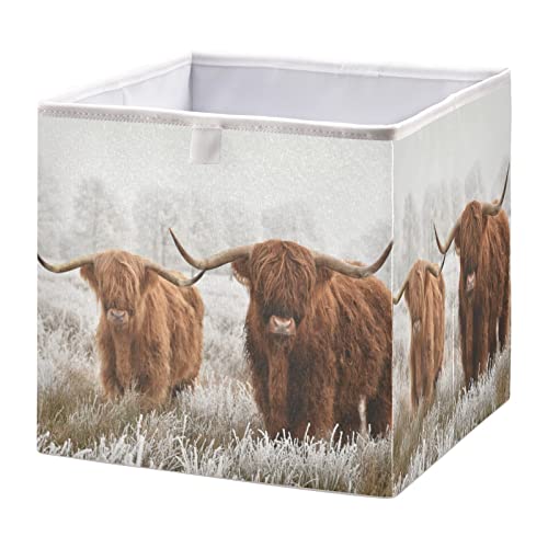 Highland Cow Storage Baskets for Shelves Foldable Collapsible Storage Box Bins with Waterproof Fabric Closet Organizers for Pantry Clothes Storage Toys, Books, Home, Office,16 x 11inch