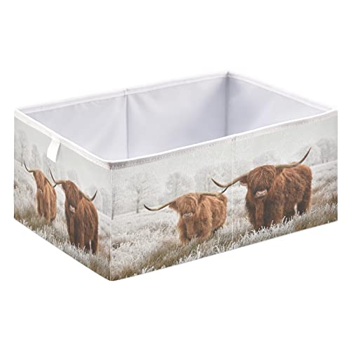 Highland Cow Storage Baskets for Shelves Foldable Collapsible Storage Box Bins with Waterproof Fabric Closet Organizers for Pantry Clothes Storage Toys, Books, Home, Office,16 x 11inch