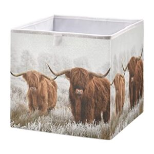 highland cow storage baskets for shelves foldable collapsible storage box bins with closet organizers cubes decorative for pantry toys, clothes, books in closet and shelf,11 x 11inch