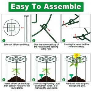 CKE 10 Pack 4mm 18 Inches Peony Cages Plant Support Plant Stakes Grow Through Grid Plant Supports Grow Through Hoops, Metal Peony Support Ring Plant Brace Flower Support Ring for Heavy Blossom 12"x18"