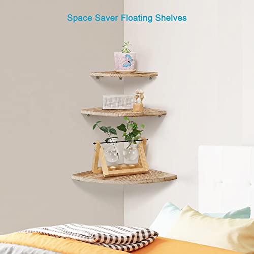 Amy Dceom Rustic Wood Corner Wall Shelves Set of 3, Wall Mount Solid Wood Floating Corner Shelves for Bedroom, Living Room, Bathroom, Kitchen (Natural)