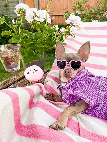 Fitwarm 2 Piece Dog Cooling Shirt and Skirt, Quick Dry Dog Summer Clothes for Small Dogs Girl, Breathable Pet Sun Protection Clothing, Stretchy Cat Outfit, Neon Purple, Small