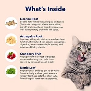 Vets Preferred Cat Urinary Tract Chews – UT Care Health Soft Chews – Supports Healthy Urinary Tract – Promotes Normal Bladder and Kidney Function - Chicken Flavored - for All Cat Sizes - 60 Count