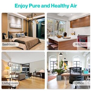 HIMOX Air Purifier for Allergies - Covers 1,215 Sq Ft - Hospital-Grade Air Filter - Air Purifier for Allergies and Pets - Smart wifi With PM 2.5Air Quality Sensors - Filters 99.99% of Pet Dander, Smoke, Allergens, Dust, Odors, Mold( H10P)