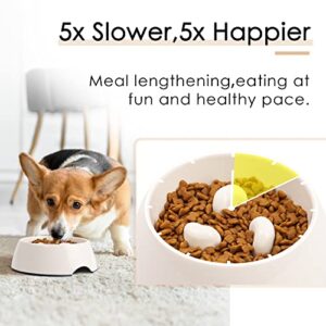 SUPERDESIGN Dog Slow Feeder Bowl 1/2 Cup Slow Feeding Dog Cat Bowls Slow Down Dog Bowl for Small Medium Large Breed Fun Feeder Slow Bowl Gulping Puppy Slow Feeder Bowl for Dry Wet Raw Food Non-Slip