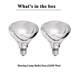 GAINTOO Dual Bulb Food Heat Lamp Restaurant Food Warmer Light Portable Heating Lamps (Dual Head(Copper))