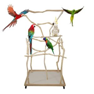 exoticdad small parrot stand - customize your perch for parrot with dragonwood natural bird perch on wheels parrot play stand for cockatoo, birds, african grey, macaw, birds (2 x 2.85 ft - b 4ft h)