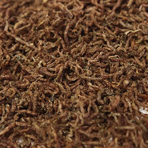 2oz Bloodworms, Freeze Dried Fresh Grade A Floating Bloodworms for All Tropical Fish, Bettas, Discus, Cichlids, Community 0.125 Pound (Pack of 1)