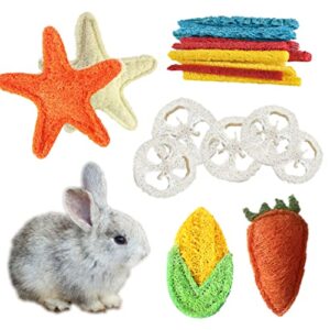 hamster chew toys for teeth rabbit loofah with 5 shapes, hamster accessories as guinea pig toys chinchilla toys best hamster toys for many small animals