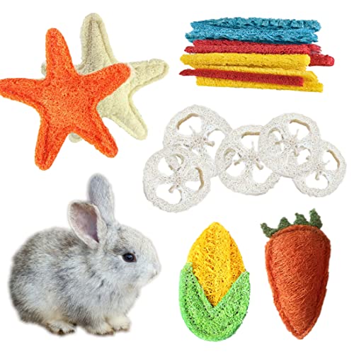 Hamster Chew Toys for Teeth Rabbit Loofah with 5 Shapes, Hamster Accessories as Guinea Pig Toys Chinchilla Toys Best Hamster Toys for Many Small Animals