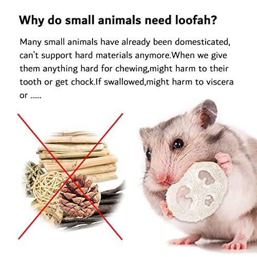 Hamster Chew Toys for Teeth Rabbit Loofah with 5 Shapes, Hamster Accessories as Guinea Pig Toys Chinchilla Toys Best Hamster Toys for Many Small Animals