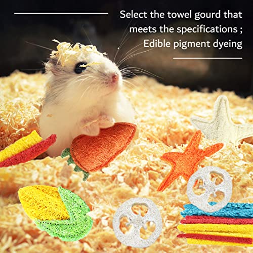 Hamster Chew Toys for Teeth Rabbit Loofah with 5 Shapes, Hamster Accessories as Guinea Pig Toys Chinchilla Toys Best Hamster Toys for Many Small Animals