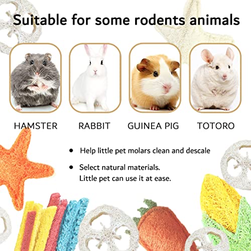 Hamster Chew Toys for Teeth Rabbit Loofah with 5 Shapes, Hamster Accessories as Guinea Pig Toys Chinchilla Toys Best Hamster Toys for Many Small Animals