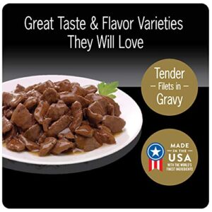 Cesar Filets in Gravy Poultry Lovers Variety Pack Wet Dog Food, 3.5 oz., Count of 12