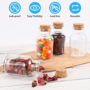 Keketin 24 Pack Glass Jars Bottles with Cork Lids,5oz Herb Bottles 150ml Spice Jars with 215 Labels,Clear Glass Decorative Jars for Tea Leaves,Spices,Nuts,Seasonings or Party Favors