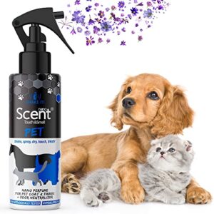 pet odor eliminator for home spray - urine odor eliminator for strong odor carpet cleaner spray - dog spray deodorizer perfume neutralizer upholstery fabric spray freshener - car odor eliminator