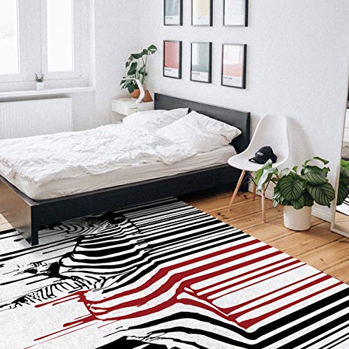 Outdoor Rug 4'x6' Area Rug for Bedroom Decor Living Room Decor, Non-Shedding Boho Carpet Floor Mats Entryway Foyer Kitchen Rugs, Funny Zebra Black and Red Home Decor Bathroom Rugs