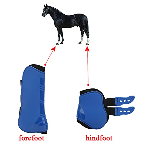 Folanda Horse Sport Boots Set of 4, PU Shell Front and Hind Horse Tendon Fetlock Brace Guard Boots for Riding, Shock Absorbing, Jumping, Horse Leggins Boots(L)
