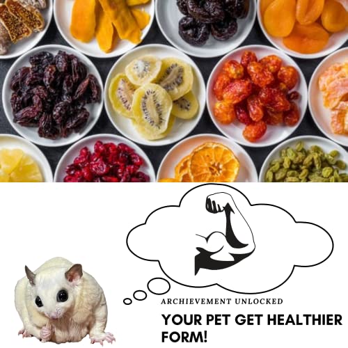 PETIVORE Premium Mixed Dried Fruit & Vegetable for Small Exotic Pet - Made with Fruits - Sugar Glider, Hamster, Squirrel, Chinchillas, Marmoset Treats, Snacks and Food (100g)