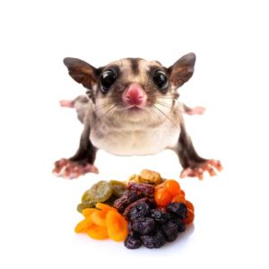 PETIVORE Premium Mixed Dried Fruit & Vegetable for Small Exotic Pet - Made with Fruits - Sugar Glider, Hamster, Squirrel, Chinchillas, Marmoset Treats, Snacks and Food (100g)