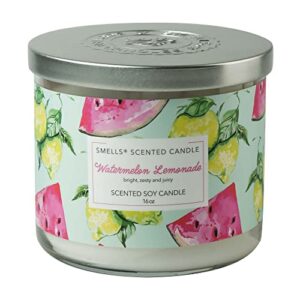 smells - premium soy wax round jar scented candle 16oz. - 100% cotton 3-wicks - fragrance that eliminates home and office odors: food, pets, smoke and others (1-pack, watermelon lemonade)