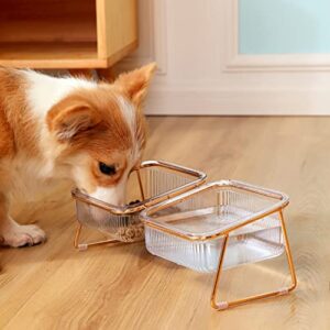 Elevated Cat Bowls, 5.5 inches Food & Water Bowls 15° Tilted Raised Food Feeding Dishes with Iron Stand for Cats and Puppy, with 2 Large Bowl and 4 Anti Slip Feet, Dishwasher Safe