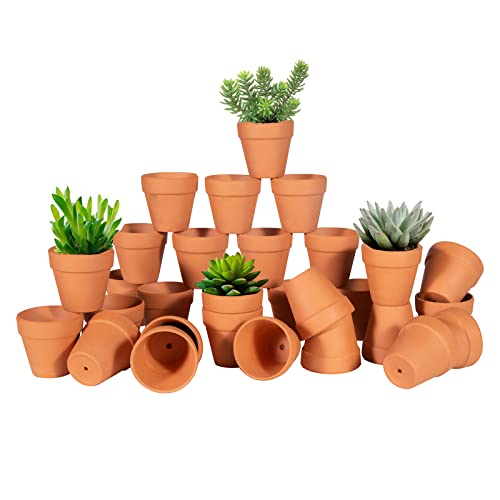 Baxrou 2.55 Inch Terra Cotta Pots 30pcs Small Mini Clay Pots with Drainage Holes,Cactus Flower Nursery Terracotta Pots for Indoor/Outdoor Succulent Plants, Crafts, Wedding Favor