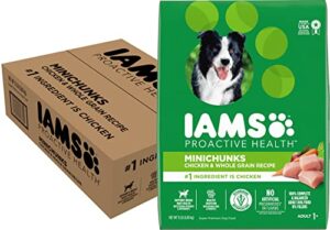 iams proactive health adult minichunks dry dog food with real chicken, 15 lb. bag