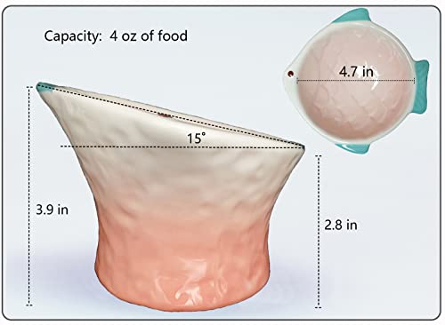 Raised Tilted Ceramic Cat Food Bowl - Cute Pink Fish Shape Elevated Slanted Shallow Angled Cat Dish - Personalized Pet Feeder for Kitty Dry Wet Treats Feeding - Ergonomic Anti Vomiting Whisker Fatigue