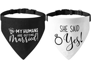 engagement gift, my humans are getting married dog bandana collar, strong d-ring for easy leash attached engagement dog bandana, adjustable dog collar with quick release buckle for dogs cats