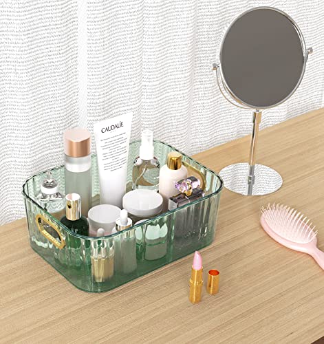 Txtsegose Clear Plastic Storage Bins,Bathroom Organizer and Kitchen Organization, Pantry Organization and Storage, Acrylic Organizers for Fridge, Freezer, BPA-Free Egg Organizer