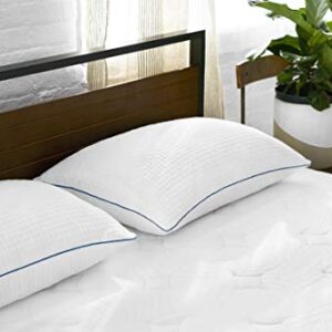 Sleep Innovations Shiloh Medium Memory Foam Mattress, 14 Inches, Queen & Premium Shredded Gel Memory Foam Pillows, Queen (Pack of 2)